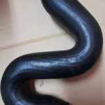 TUBO  VOLKSWAGEN PASSAT 1.9 TDI 101CV 8D0145828